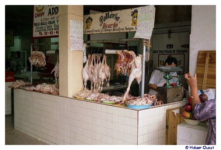 Meridas Mercado Municipal