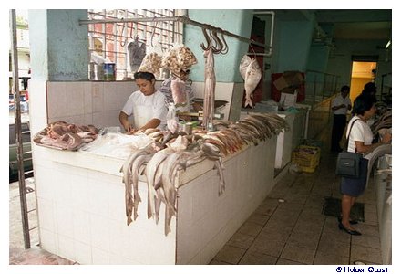 Markt in Merida