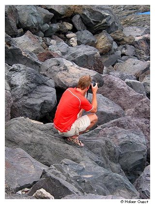 Fotologe Fotologe