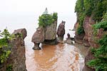 IMG_2324_3