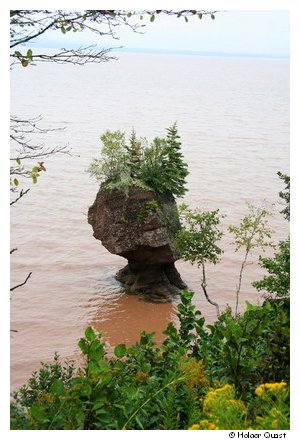 Hopewell Rocks