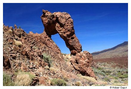 Schuh der Knigin - Teide Nationalpark