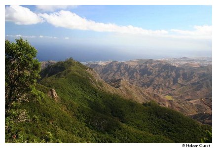 Mirador Pico del Ingles - Tenerife