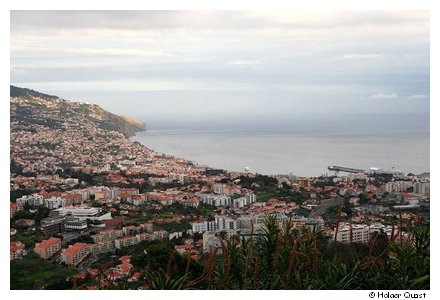 Rico dos Barcelos - Madeira