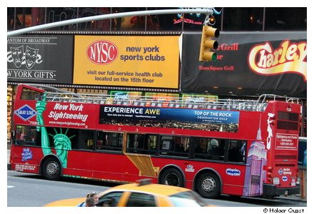 Gray Line Bus Gray Line Bus