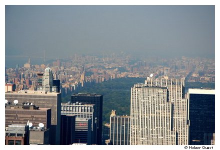 Blick vom Empire State Building auf den Central Park -  New Vork City