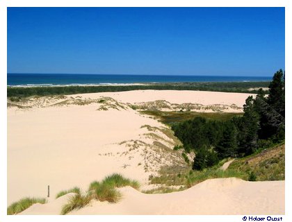 Oregon Dunes Overlook