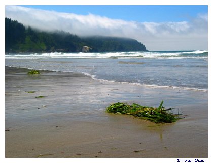 Cape Lookout Cape Lookout