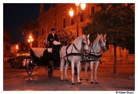 Hochzeit in Sevilla Hochzeit in Sevilla