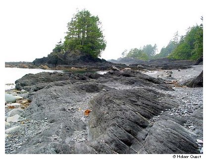 Botanical Beach Provincial Park