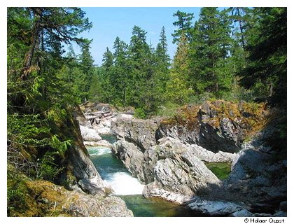 Little Qualicum Falls Provincial Park