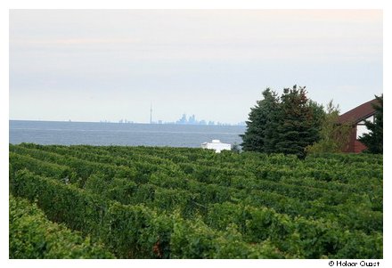 Weingut bei Niagara on the Lake Weingut bei Niagara on the Lake