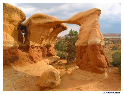 Devils Garden - Metate Arch