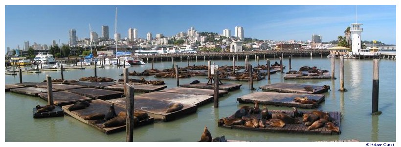 Pier 39  Panorama