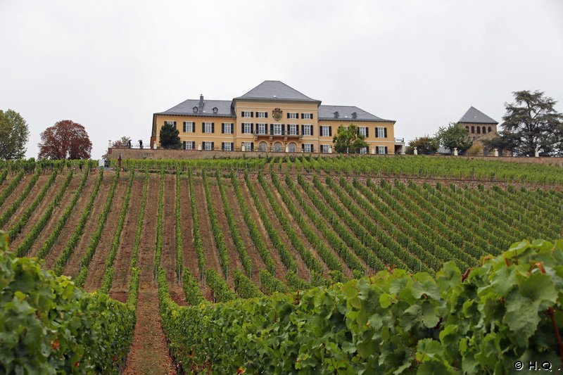 Weingut Schloss Johannisberg im Rheingau