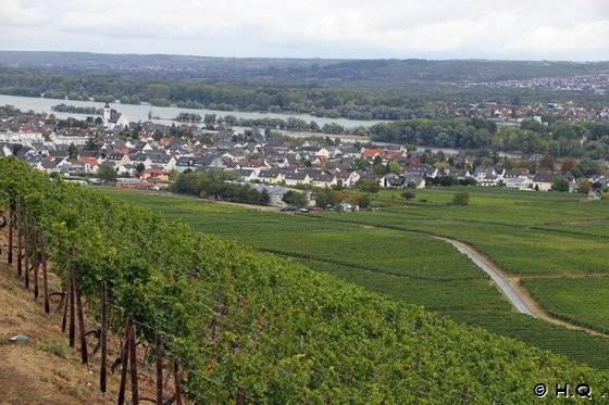 Rhein20__1360