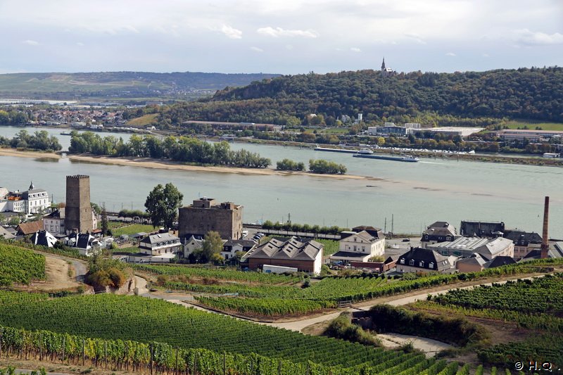 Rdesheim aus der Seilbahn