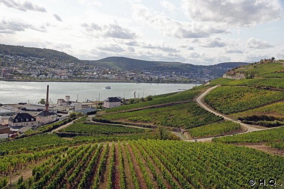 Rhein20__2185 Rhein20__2185