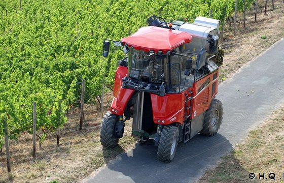 Modere Weinernte Maschine