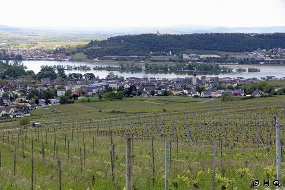 Blick von der Abtei St. Hildegard auf Rdesheim und den Rhein