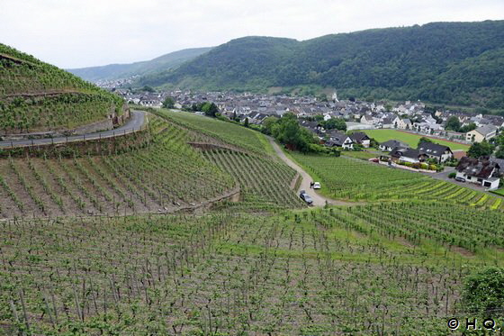 Weinberge von Winningen Weinberge von Winningen