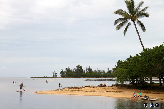 Stand Up Paddling Hawaii