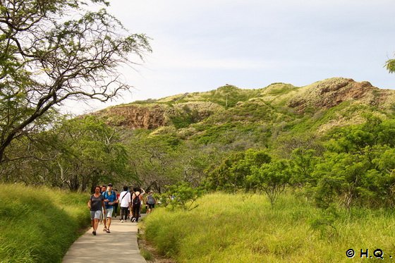 Diamond Head Summit Trail Diamond Head Summit Trail