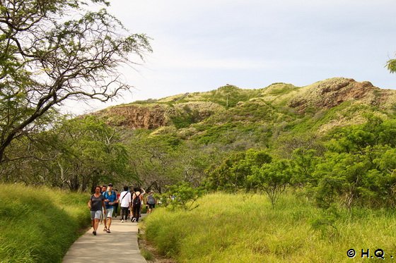 Diamond Head Summit Trail