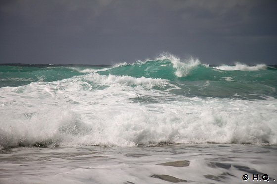 Wellen am Polihale State Park