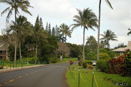 Princeville Village