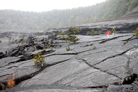 Kilauea Iki Trail Volcanoes National Park