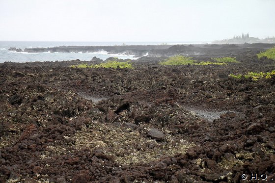 Weg zuden Champagne Ponds Big Island Hawaii Weg zuden Champagne Ponds Big Island Hawaii