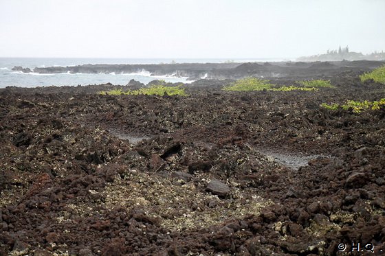 Weg zuden Champagne Ponds Big Island Hawaii