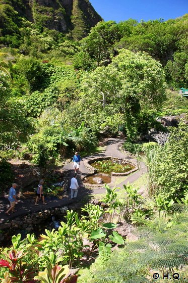 Botanischen Garten im Iao Valley State Park Botanischen Garten im Iao Valley State Park
