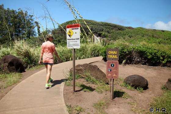 Ohai Trail Maui Hawai