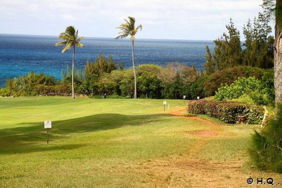 Golfplatz bei den Dragon's Teeth Maui Hawaii