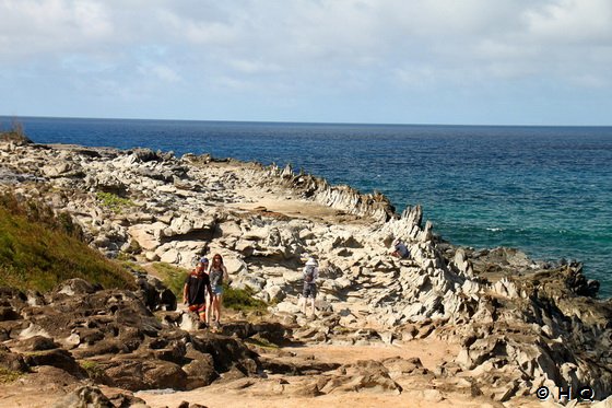 Dragon's Teeth Plateau Maui Hawaii