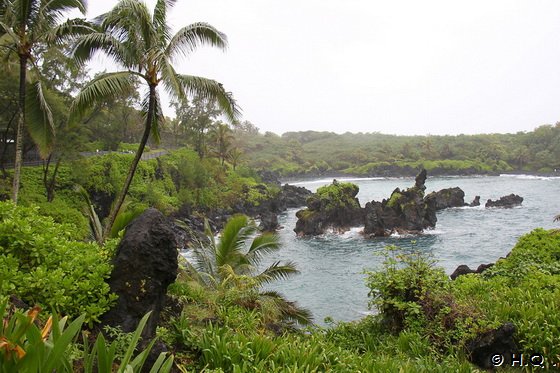 Waianapanapa State Park Road to Hana  Maui Hawaii