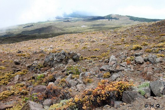 Haleakala National Park Mauai Hawaii