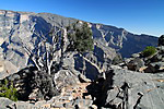 AIDA13_02320_2