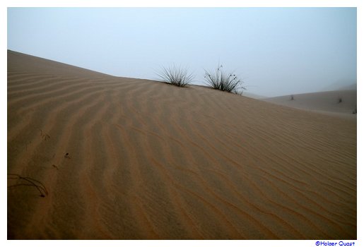 Wüste in Abu Dhabi Wüste in Abu Dhabi