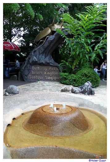 Schmetterling Park Sentosa  Island Singapur