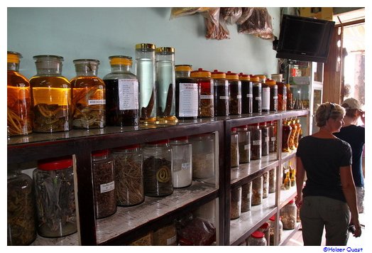 Traditionelle vietnamesische Medizin