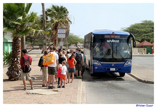 Arubus - Linienbus Aruba