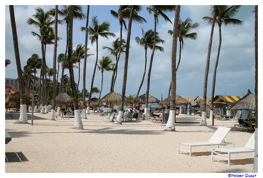 Palm Beach - Aruba Palm Beach - Aruba