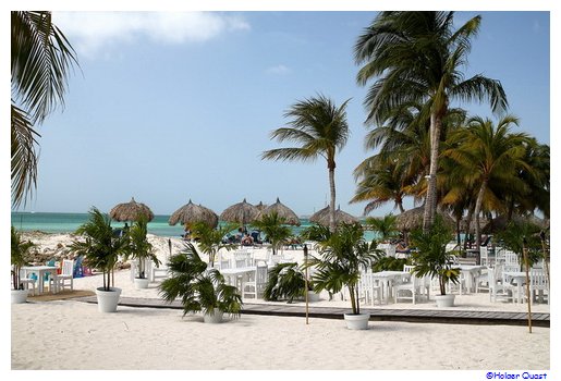 Divi Aruba Phoenix Resort Palm Beach Aruba