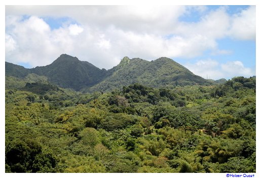 Mount Saint Catherine - hchster Berg auf Grenada