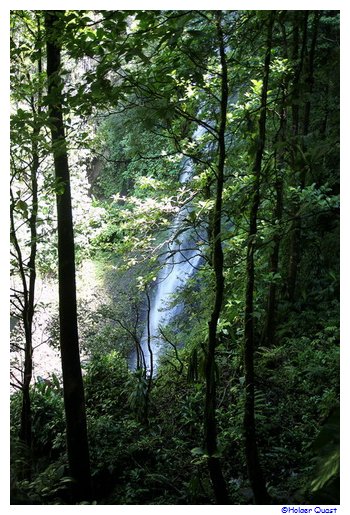 Middleham Wasserfall