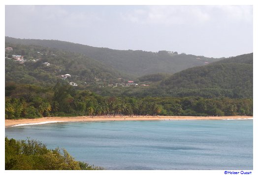 Ausblick auf den Grande Anse Beach - Guadeloupe