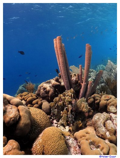 Bonaire National Marine Park Bonaire National Marine Park